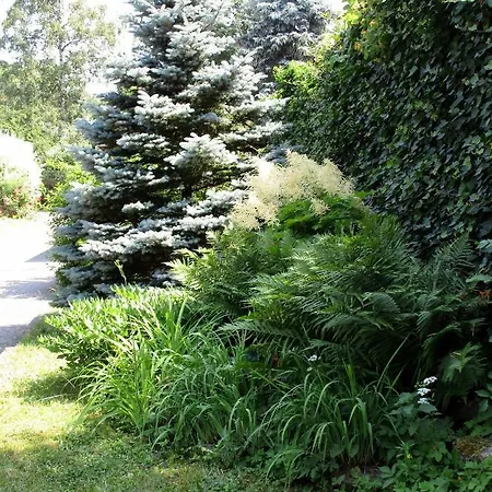 Waldblick Apartment Arnstadt