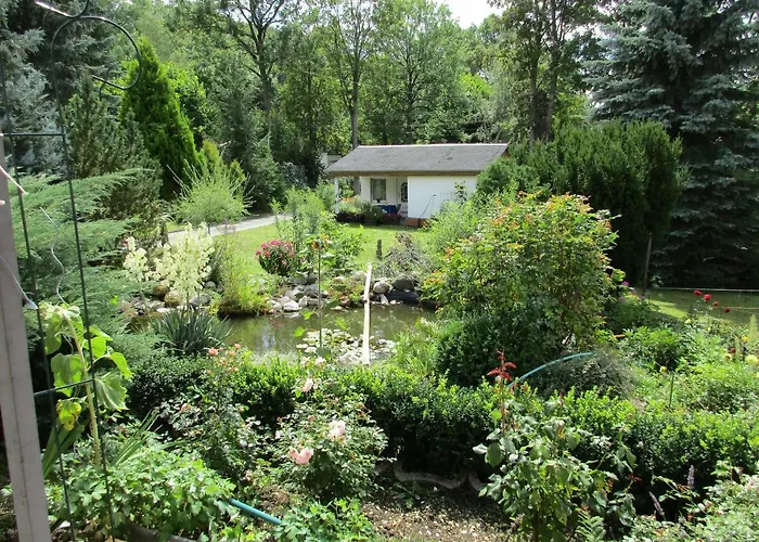 Waldblick Daire Arnstadt